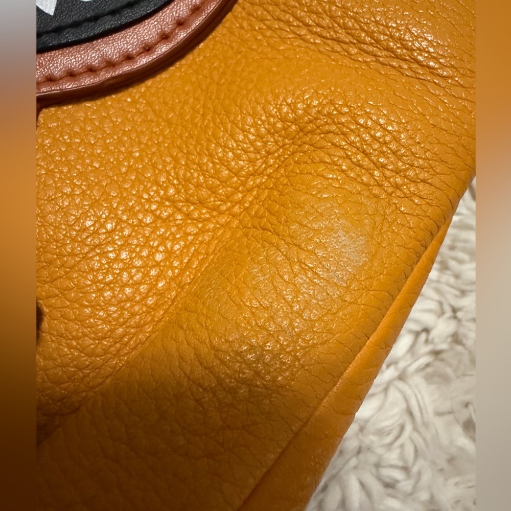 Upcrafted Coach black cat Pheobe Orange - Picture 9 of 15